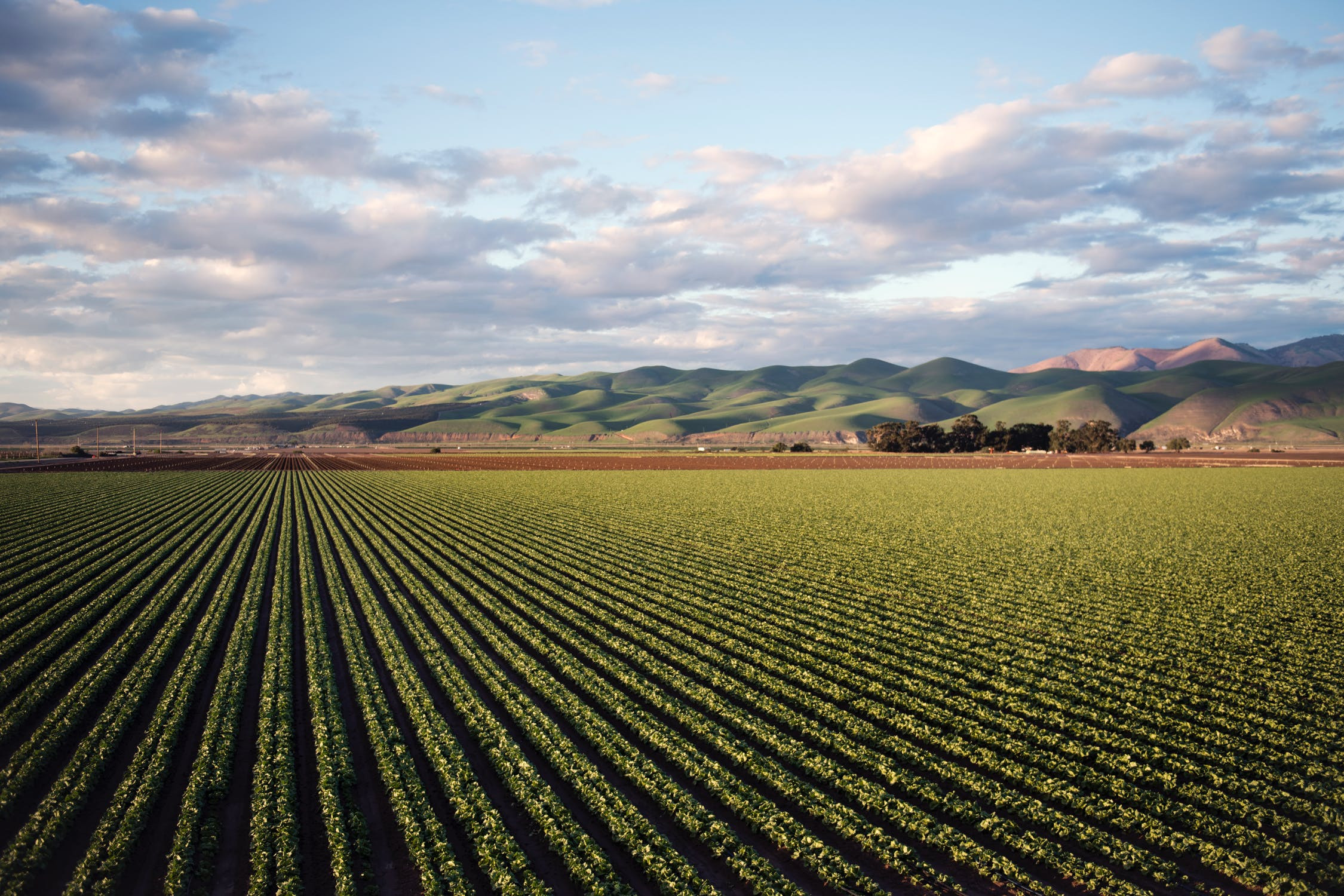 AGRICULTURE : CONTRE L’URBANISATION DES TERRES FERTILES