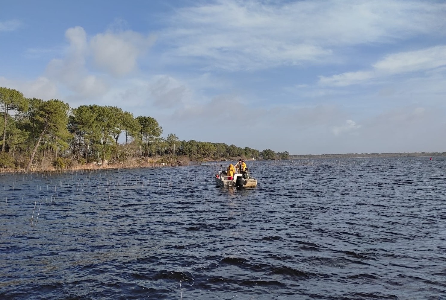 Comment protéger efficacement l’anguille européenne ? 2/2 - L'Europe vue d'ici #156