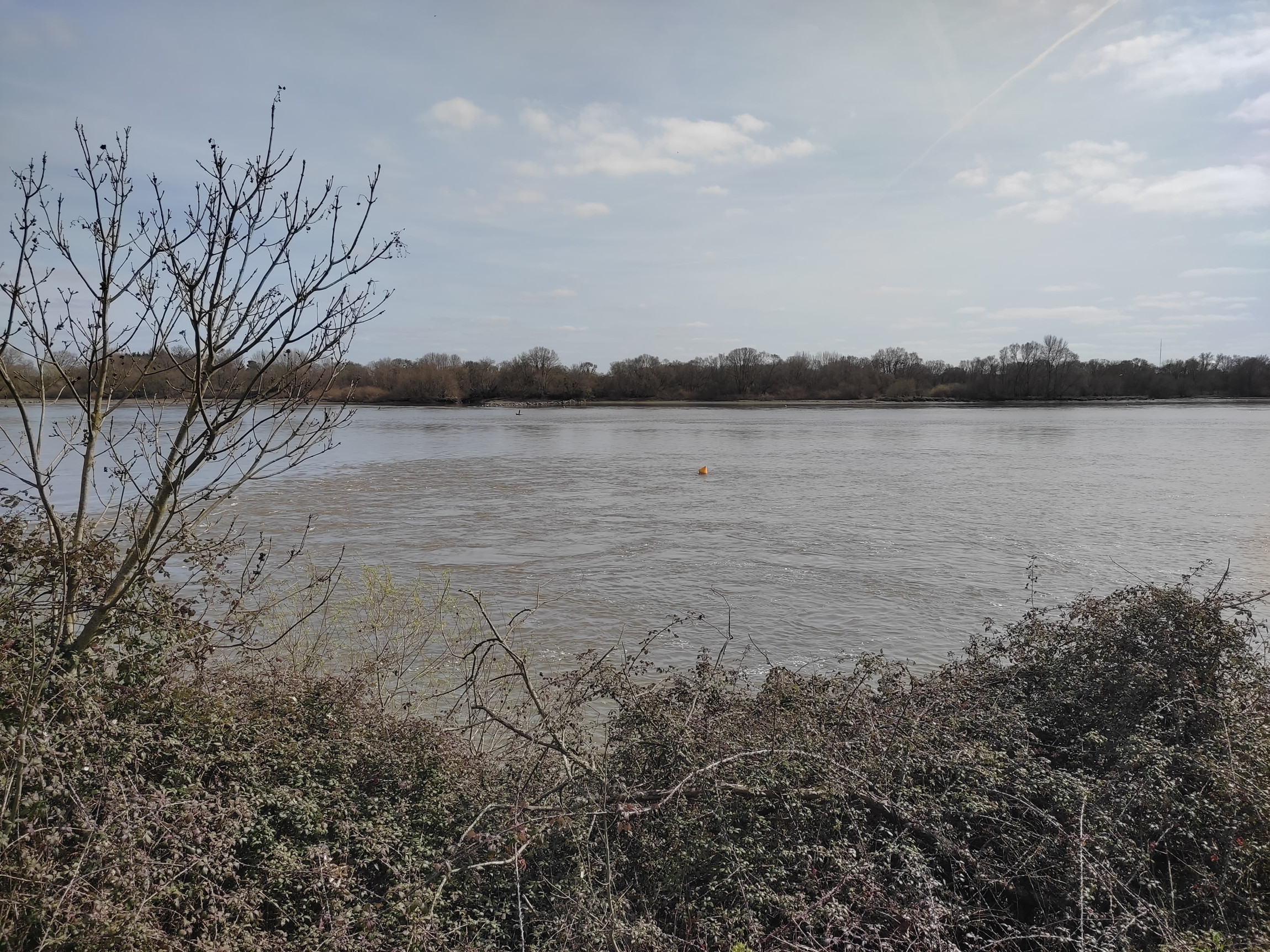 Reconnaître des droits à la nature 2/2 - L'Europe vue d'ici #137