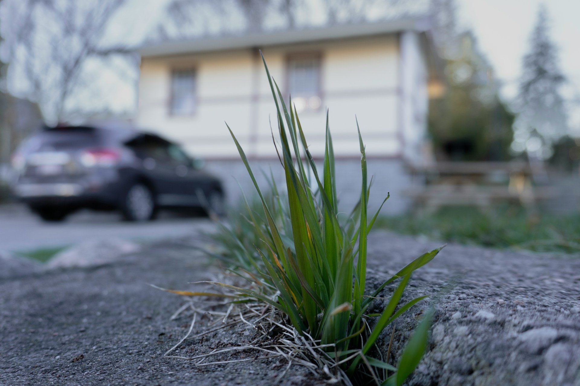 Une directive européenne sur la protection des sols enfin votée !