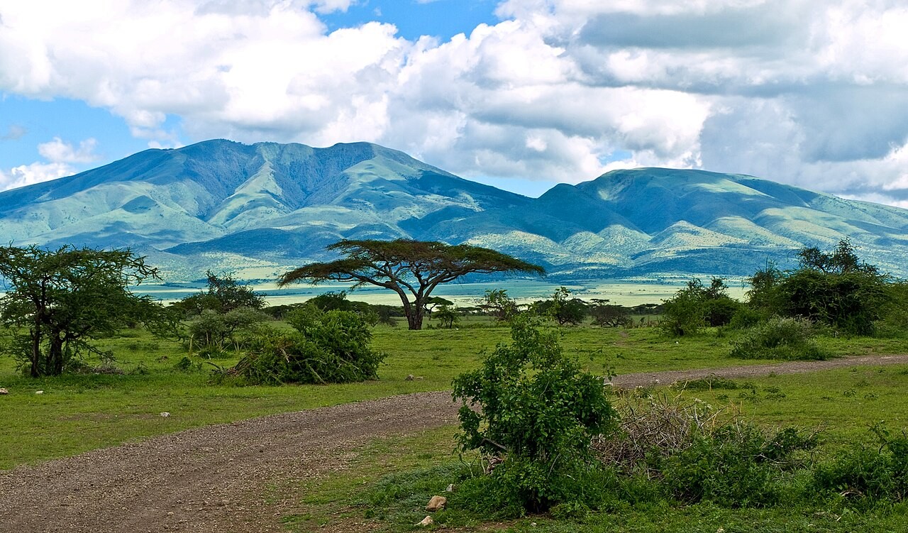 Rendez-vous au Musée d'Olduvai en Tanzanie