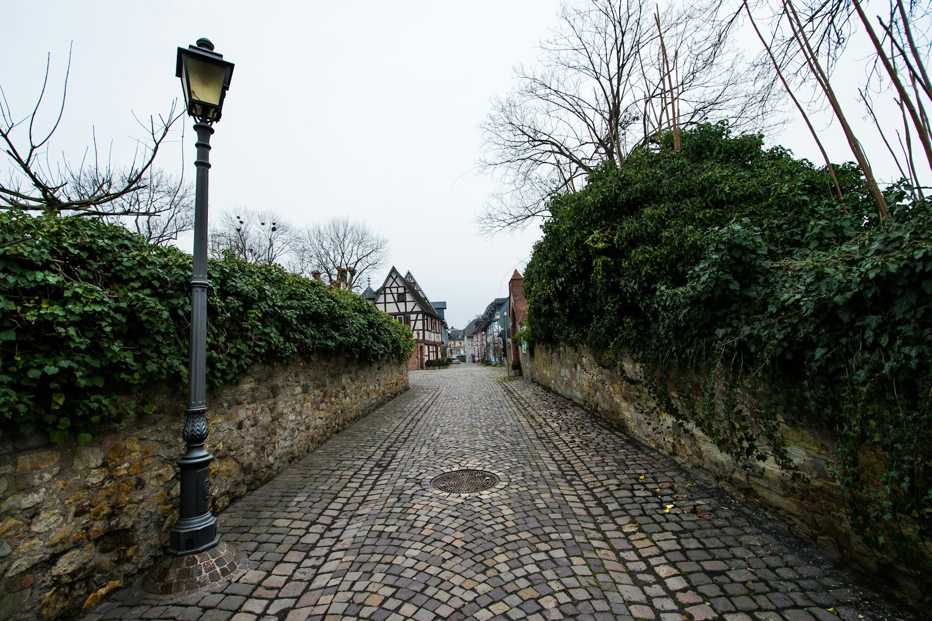 Martinfeld : SMARTinfeld