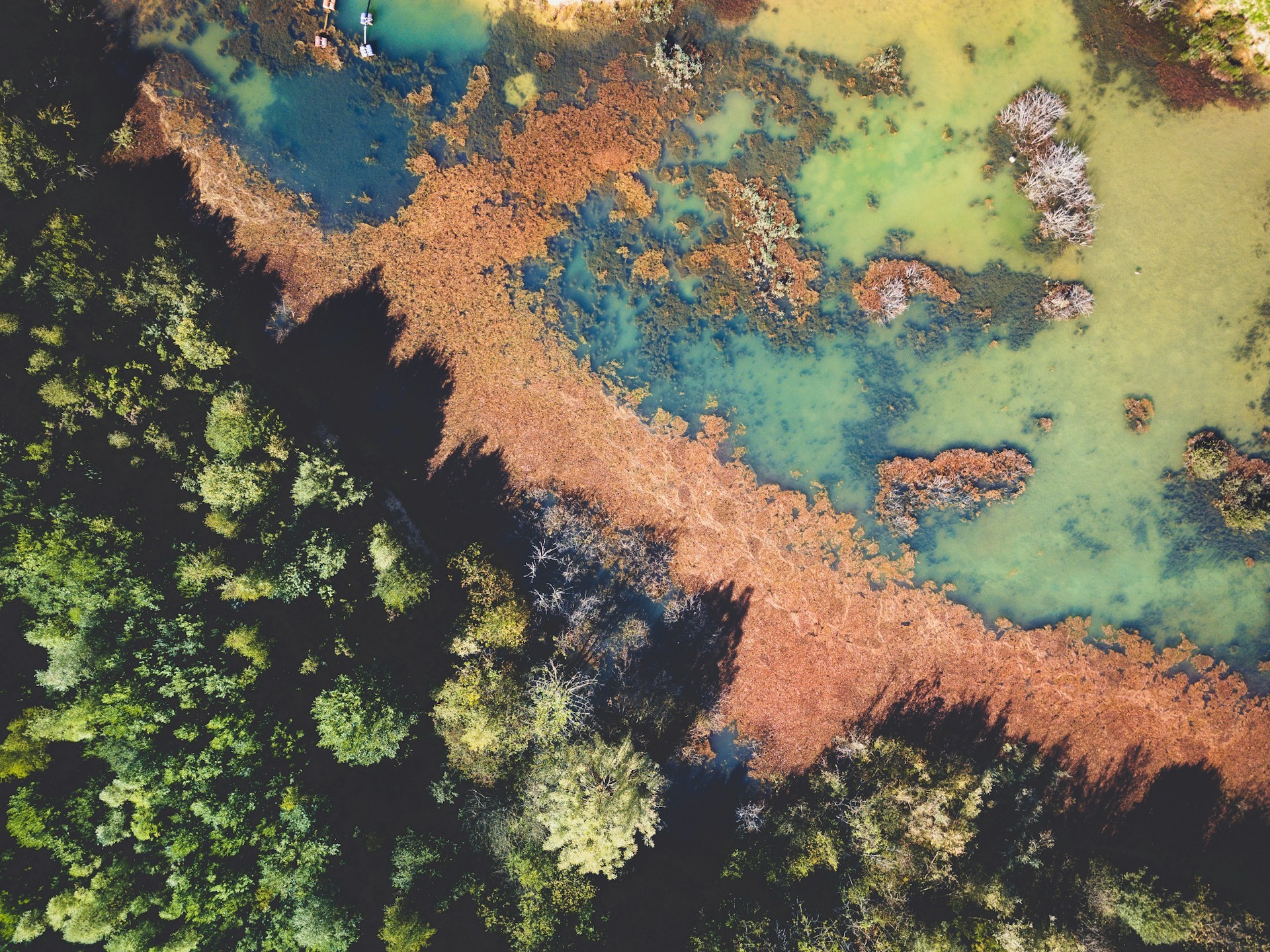 Interdépendances entre écosystèmes : les méta-écosystèmes