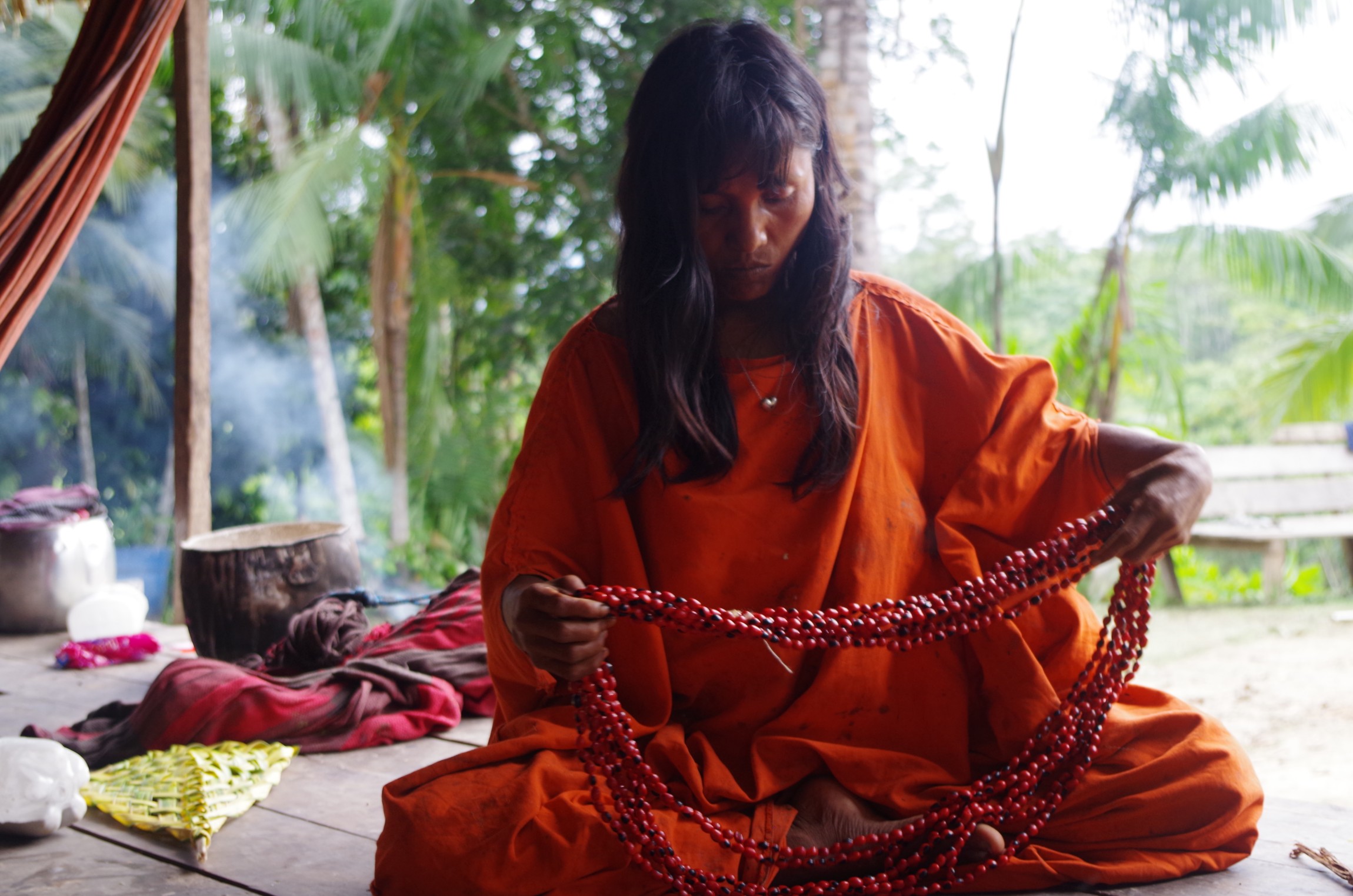 Amazônia: un combat pour la préservation de notre environnement