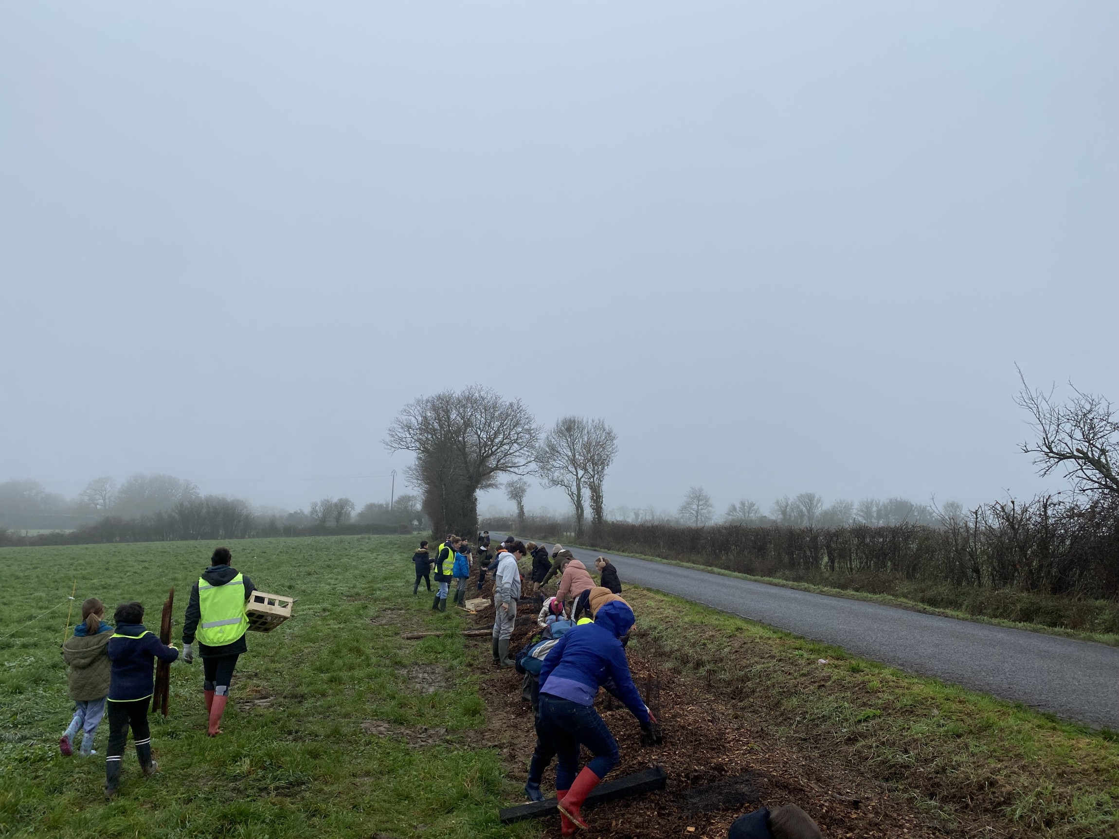 A Pontchâteau, les enfants replantent les haies bocagères