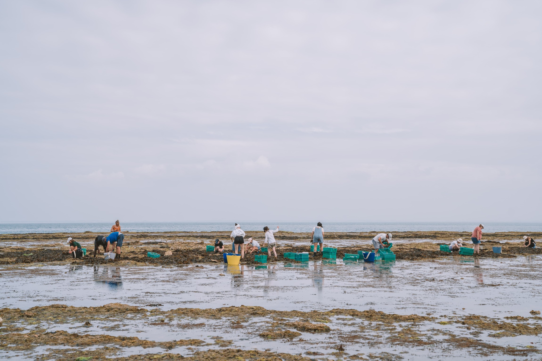 Blutopia : préserver l'océan, manger autrement