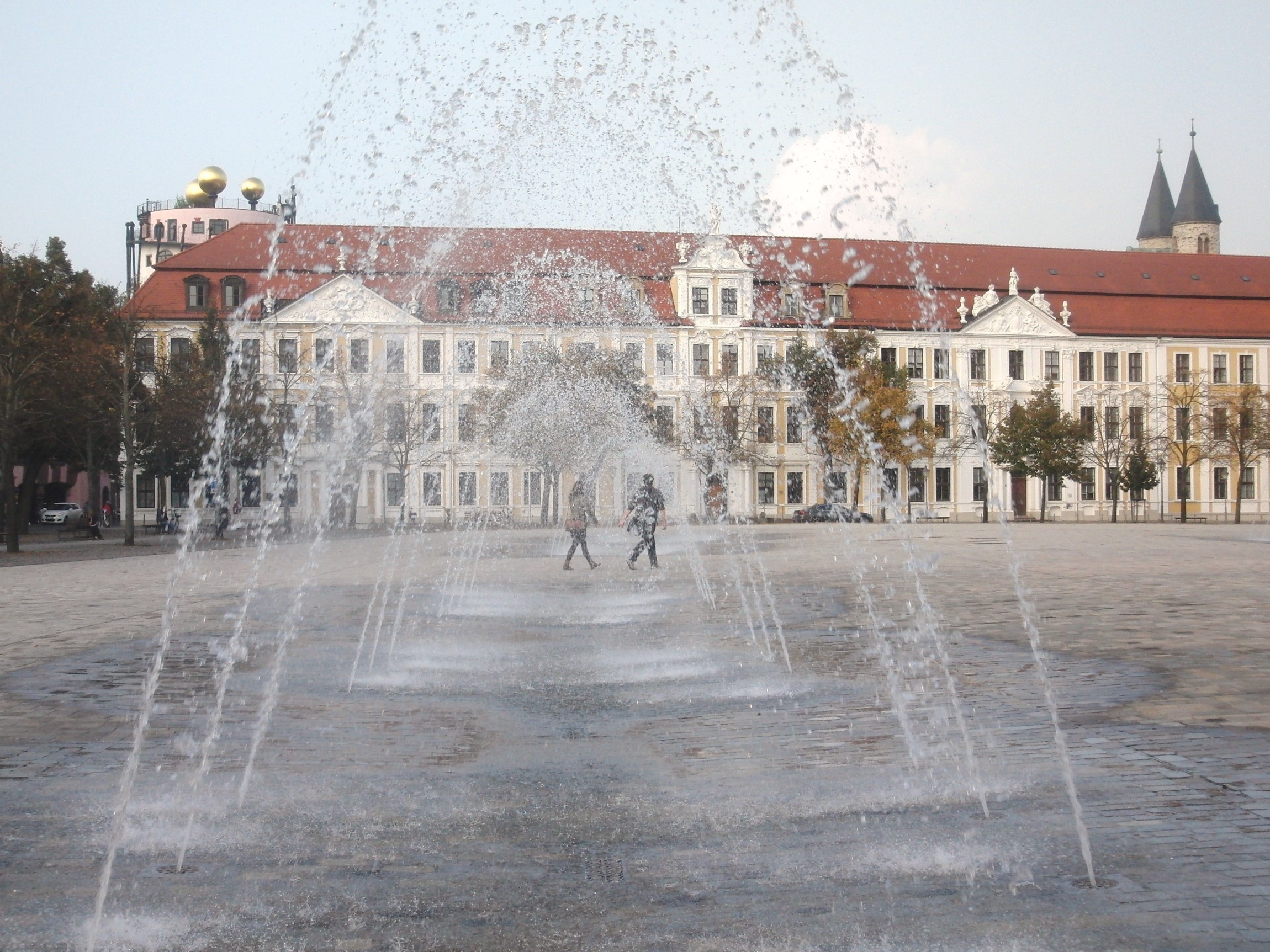 AFD en Saxe-Anhalt