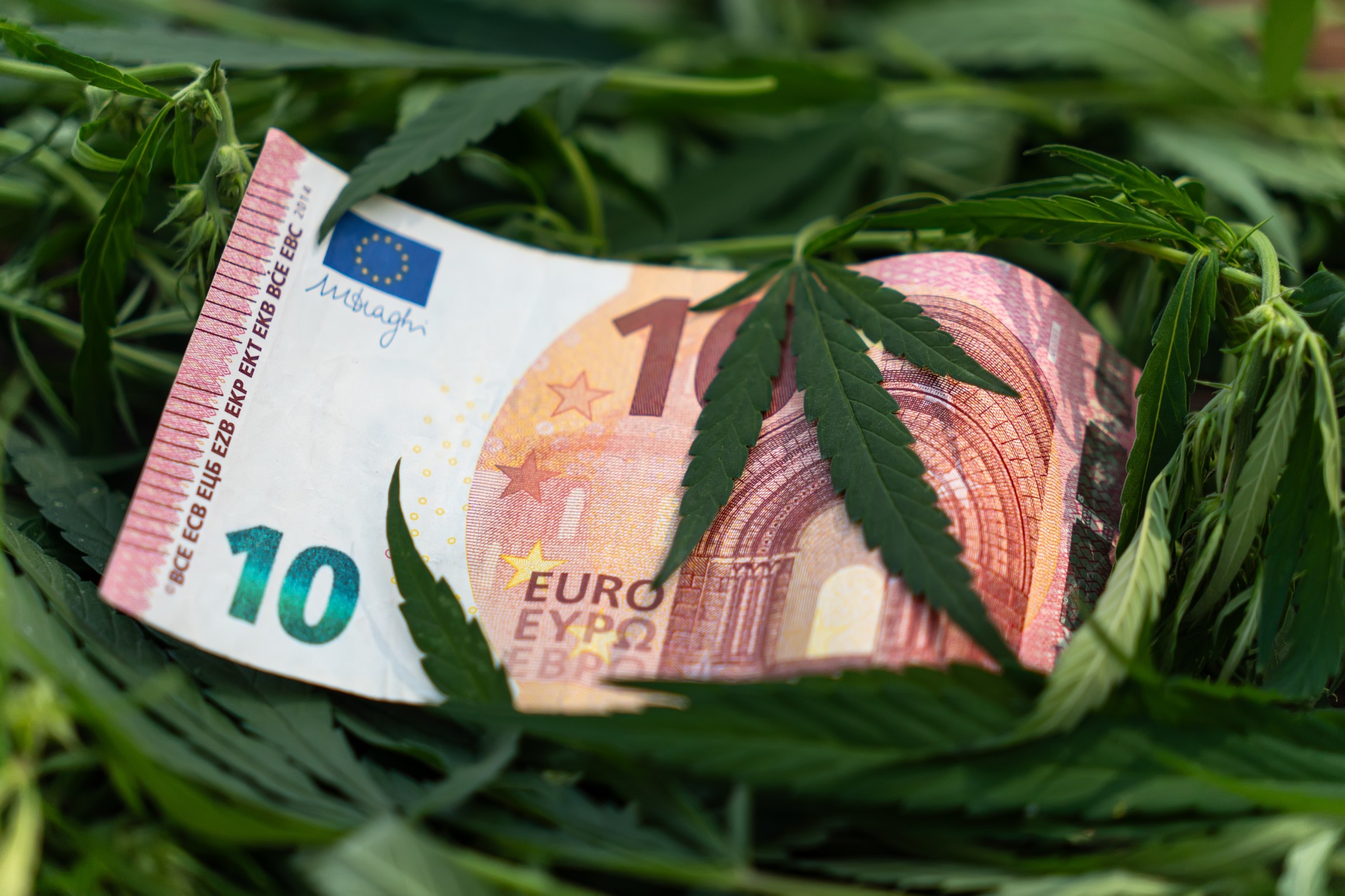 Drogues : l’Europe face à un marché qui ne connaît pas la crise