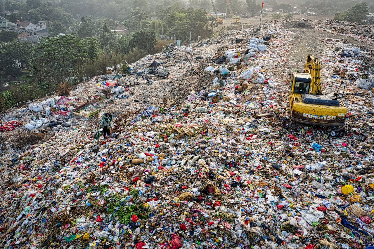 Homo détritus