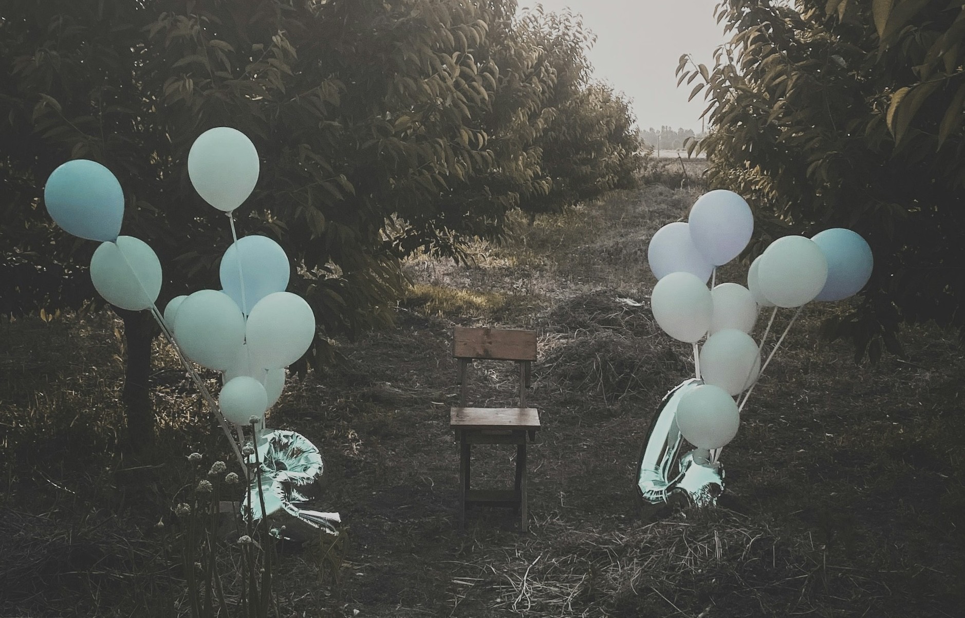 L'anniversaire d'un traité fantôme