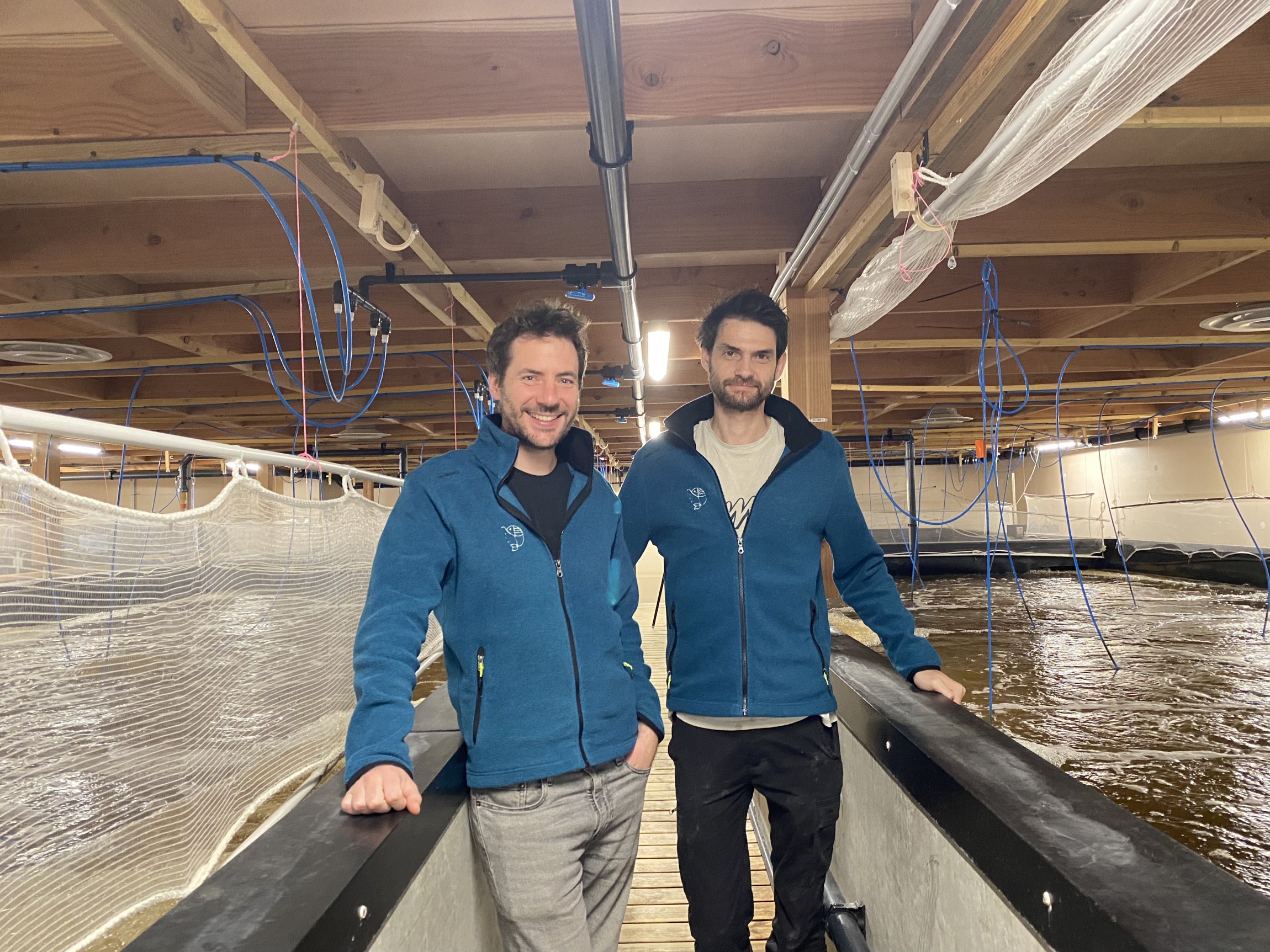 Lisaqua: des crevettes et des gambas…à Saint-Herblain !