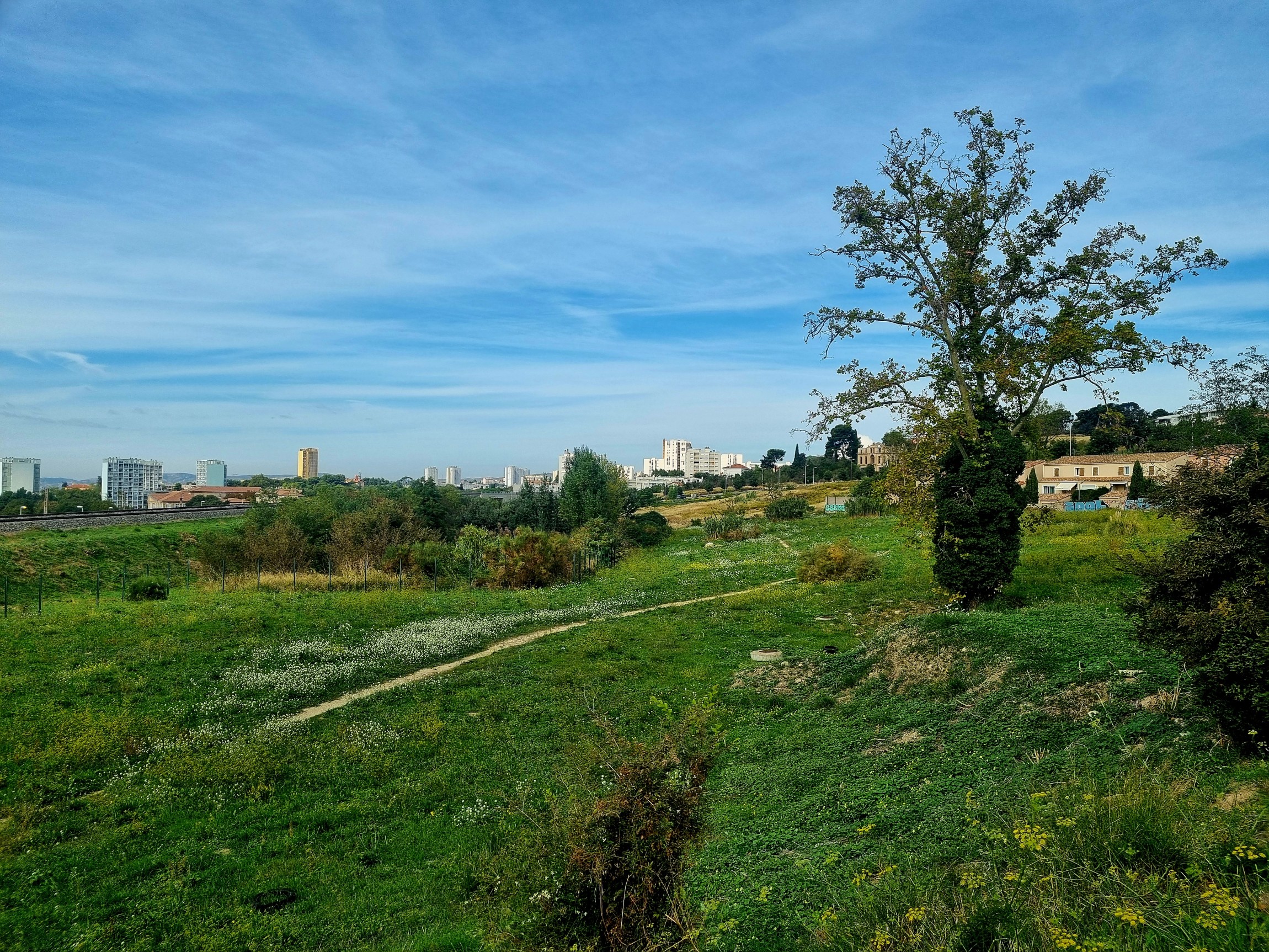 Villes Terrestre, une approche protéiforme pour imaginer des villes (vraiment) écologiques - L'Europe vue d'ici #136
